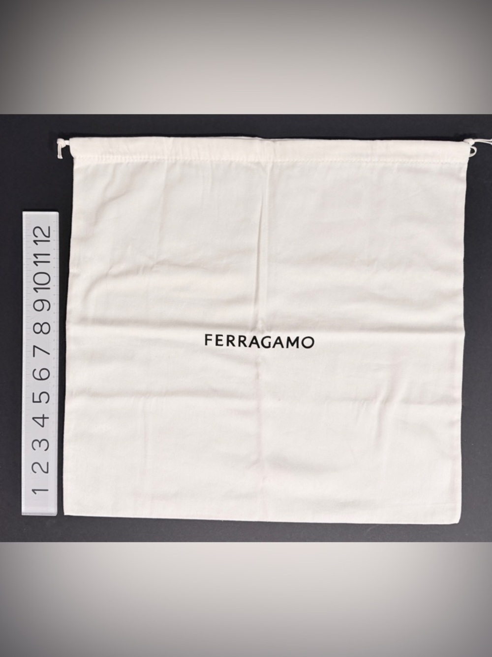 Salvatore Ferragamo Designer Shoe & Purse Drawstring Dust Bag Pouch